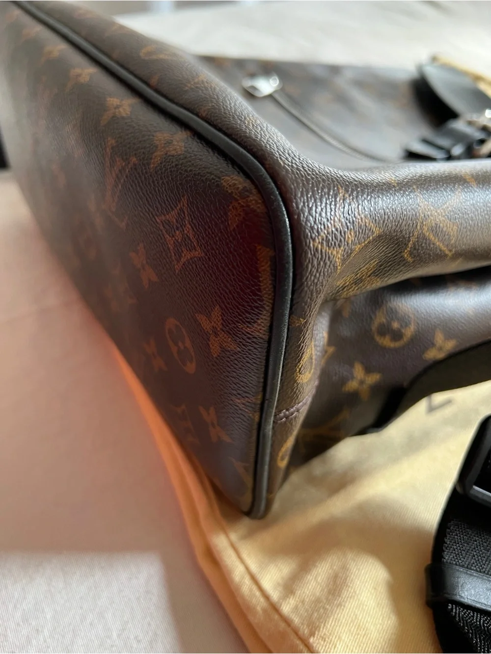 Authentic LOUIS VUITTON Monogram Macassar Palk Backpack